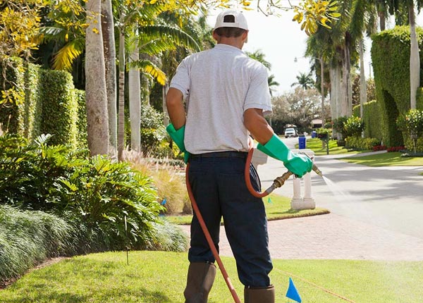 About Frazier Park CA Pest Control